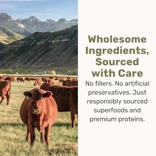 BADLANDS RANCH Superfood Nuggets - Image 6