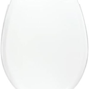 Wirquin 20719017 Abattant wc Néon thermoplastique en forme de U avec charnières plastiques Lock+, blanc Amazon.fr: Bricolage