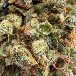Gorilla Kush THCX 60% – Indoor-Hydro